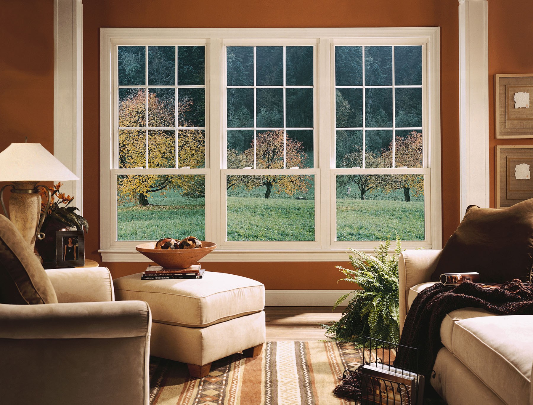 Buy new windows for house